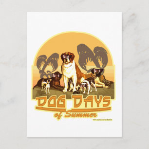 Carte Postale Jours de chiens d'été