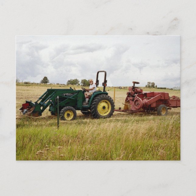 Carte Postale Joyau dans les champs de Ranch d'or (Devant)