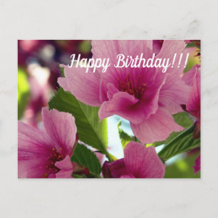 Carte postale Joyeuse Anniversaire