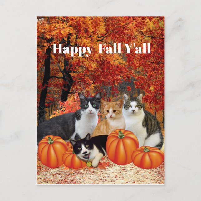 Carte postale Joyeuse Automne à tous les Chats et  (Devant)