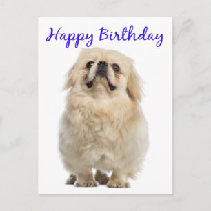 Carte Postale Joyeuse Crème d'anniversaire Pekingese Chien Chien