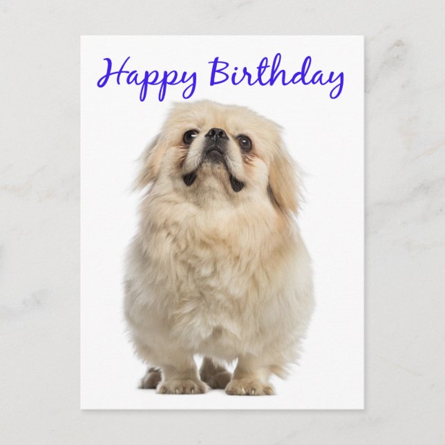 Carte Postale Joyeuse Crème d'anniversaire Pekingese Chien Chien (Devant)