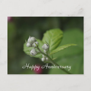 Carte Postale Joyeuse fête des Mères, fleur de framboisier sauva
