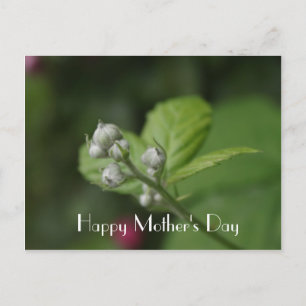 Carte Postale Joyeuse fête des Mères, framboise sauvage d'été en
