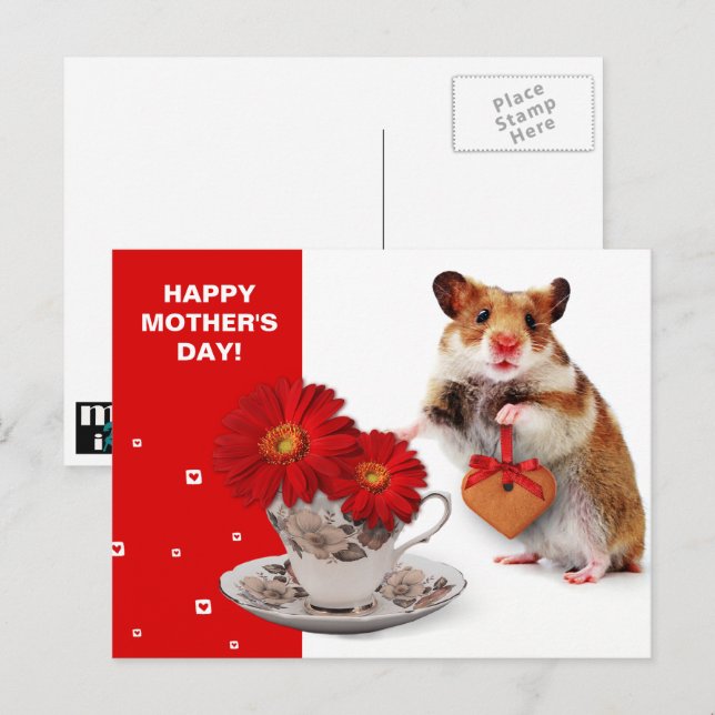 Carte Postale Joyeuse Fête des Mères. Hamster Drôle  (Devant / Derrière)