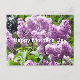 Carte Postale Joyeuse Fête des Mères-Lilas