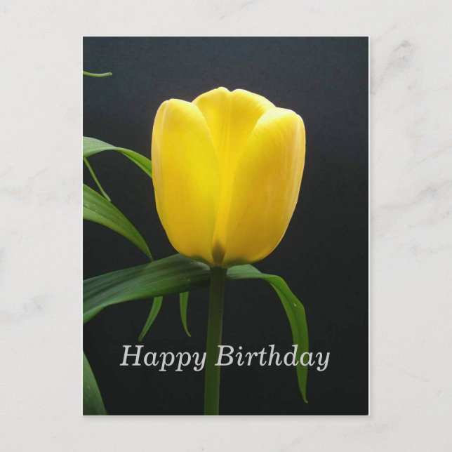 Carte Postale joyeuse fleur de tulipe jaune (Devant)