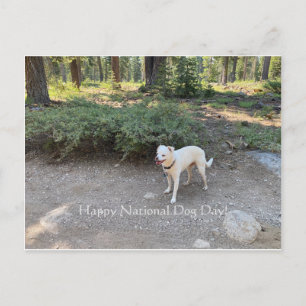 Carte Postale Joyeuse Journée nationale du chien !