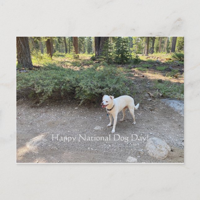 Carte Postale Joyeuse Journée nationale du chien ! (Devant)