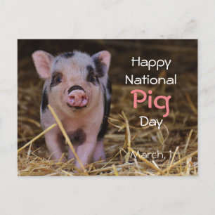 Carte Postale Joyeuse Journée nationale du cochon ! (1er mars)