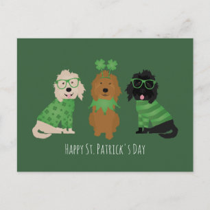 Carte Postale Joyeuse Saint-Patrick Chiens Goldendoodle