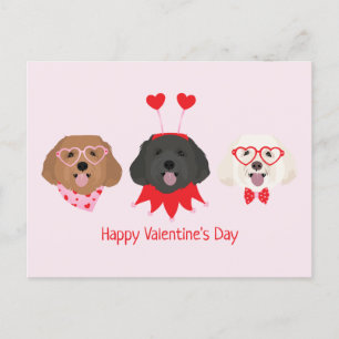 Carte Postale Joyeuse Saint-Valentin Chiens Maltipoo