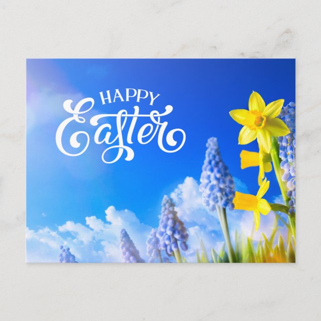 Carte Postale Joyeuses Daffodiles de Pâques, Floral Bleu Fleur D (Devant)