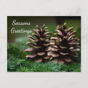 Carte Postale Joyeuses Fêtes de Pine Cone