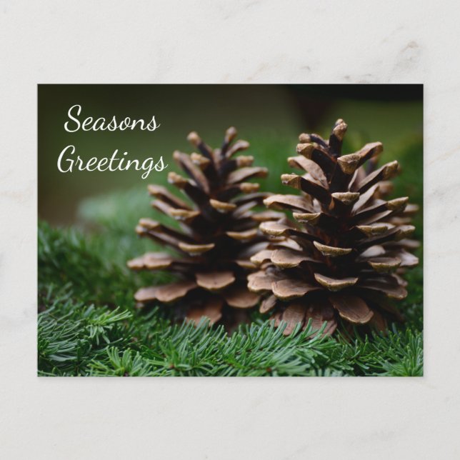 Carte Postale Joyeuses Fêtes de Pine Cone (Devant)