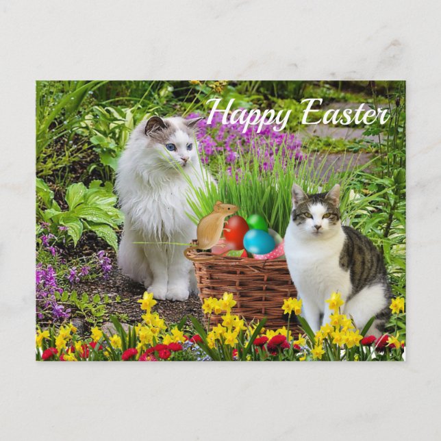 Carte Postale Joyeuses Pâques de votre fête de chat (Devant)