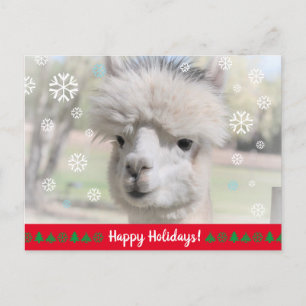 Carte Postale Joyeuses vacances de Snow Alpaca