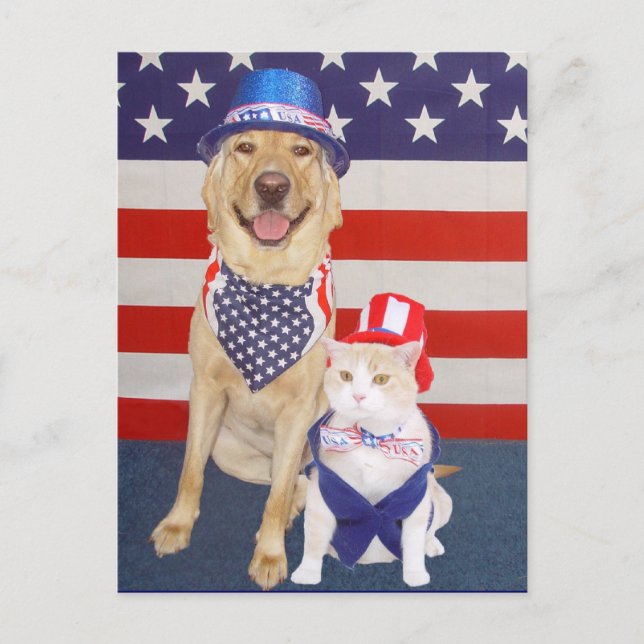 Carte Postale Joyeux 4 juillet ! (Devant)