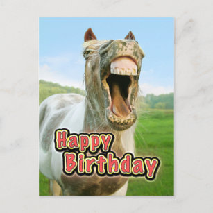 Cartes De Vœux Humour Cheval Zazzle Fr