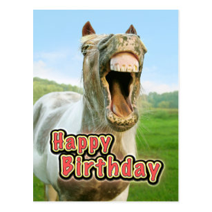 joyeux anniversaire cheval humour Cartes De Vœux Humour Cheval Zazzle Fr joyeux anniversaire cheval humour