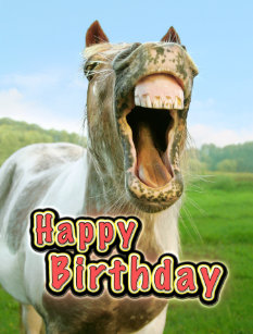 Cartes Cheval D Anniversaire Zazzle Fr Cartes Cheval D Anniversaire Zazzle Fr