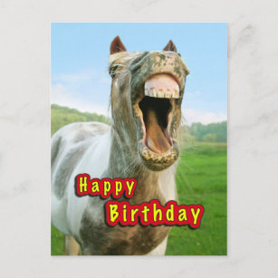 Cartes De Vœux Humour Cheval Zazzle Fr