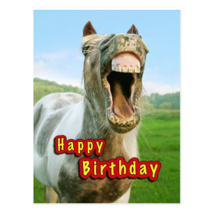 Cartes De Vœux Humour Cheval Zazzle Fr