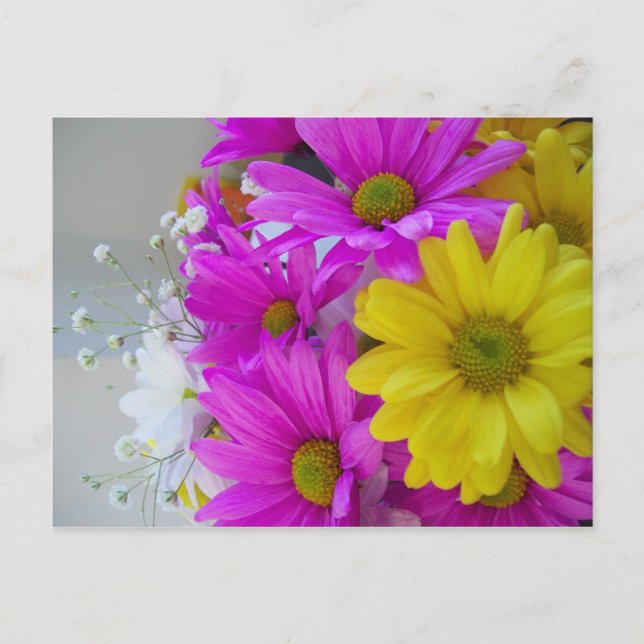 Carte Postale Joyeux anniversaire ! ! ! (Devant)