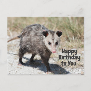 Carte Postale Joyeux Anniversaire à Toi Opossum Mignon qui March
