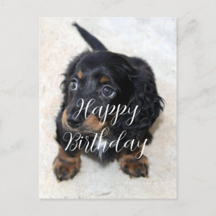 Carte Postale Joyeux Anniversaire à un mignon chiot teckel noir