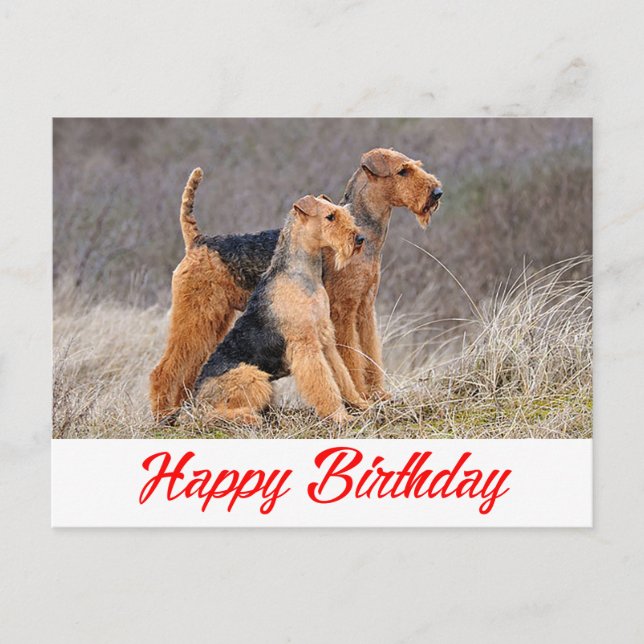 Carte Postale Joyeux Anniversaire Airedale Terrier Chien Chien C (Devant)