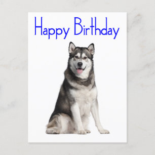 Carte Postale Joyeux Anniversaire Alaskan Malamute Chien Chien C