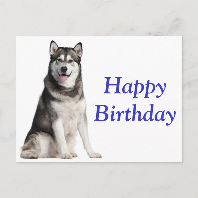 Carte Postale Joyeux Anniversaire Alaskan Malamute Chien Chien C (Devant)