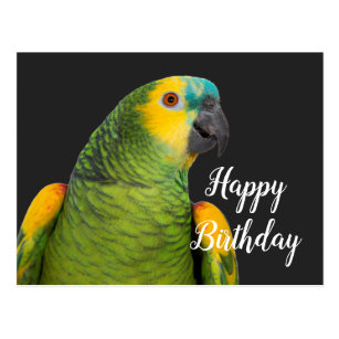 Cartes Postales Anniversaire Perroquet Originales Zazzle Fr