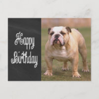 Joyeux Anniversaire Anglais Bulldog Chalkboard Car