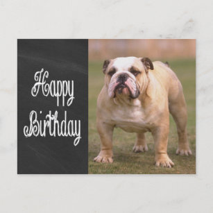 Cartes Anglais D Anniversaire Zazzle Fr