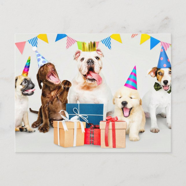 Carte Postale Joyeux Anniversaire Animaux de Fête Adorables (Devant)