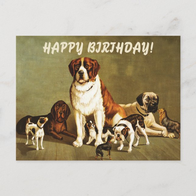 Carte Postale Joyeux Anniversaire avec Illustration de Chiens Vi (Devant)