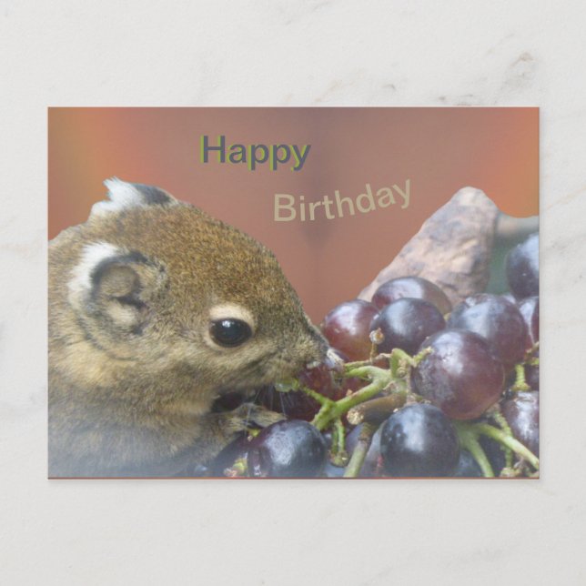 Carte postale joyeux anniversaire avec un écureuil (Devant)