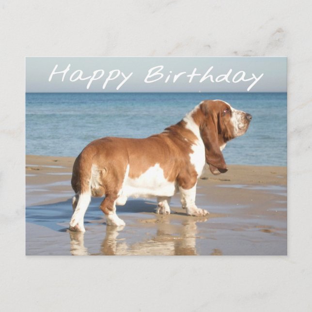 Carte Postale Joyeux Anniversaire Basset Hound Chien Chien Pot C (Devant)