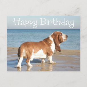 Carte Postale Joyeux Anniversaire Basset Hound Chien Chien Pot C