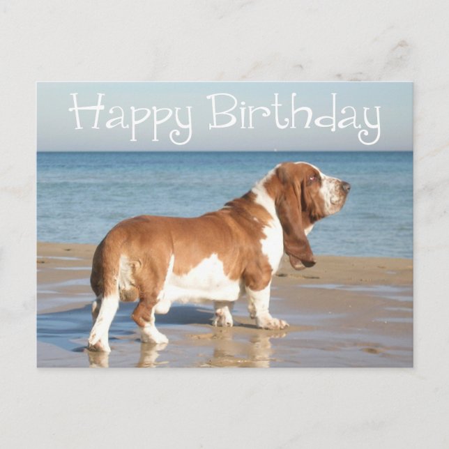 Carte Postale Joyeux Anniversaire Basset Hound Chien Chien Pot C (Devant)