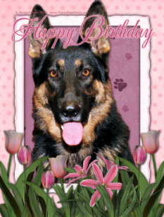 Cartes D L Amant Berger Allemand D Anniversaire Zazzle Fr Cartes D L Amant Berger Allemand D Anniversaire Zazzle Fr