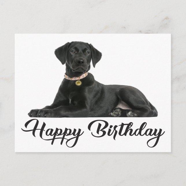 Carte Postale Joyeux anniversaire Black Labrador Retriever Chien (Devant)
