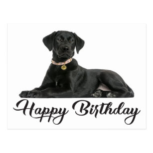 Invitations Faire Part Cartes Anniversaire Noir De Chiot Labrador Zazzle Fr