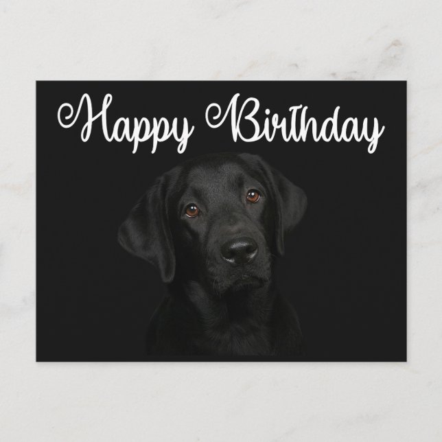 Carte Postale Joyeux anniversaire Black Labrador Retriever Chien (Devant)