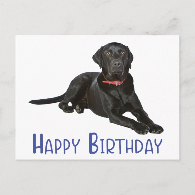 Carte Postale Joyeux anniversaire Black Labrador Retriever Chien (Devant)