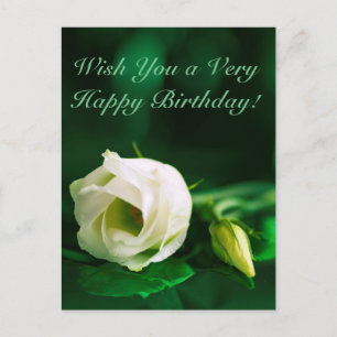 Carte Postale Joyeux anniversaire blanc rose sur vert