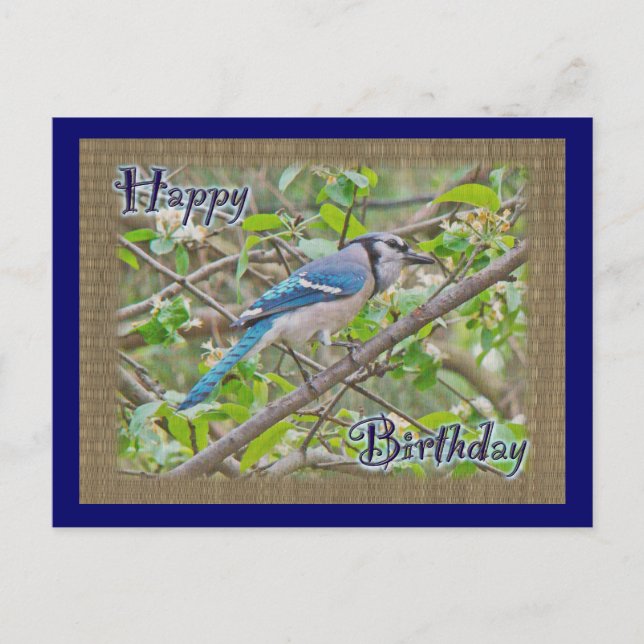 Carte Postale Joyeux anniversaire Blue Jay (Devant)