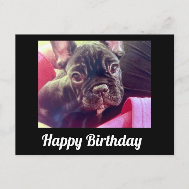 Carte Postale Joyeux Anniversaire Bouledogue Français Mignon (Devant)